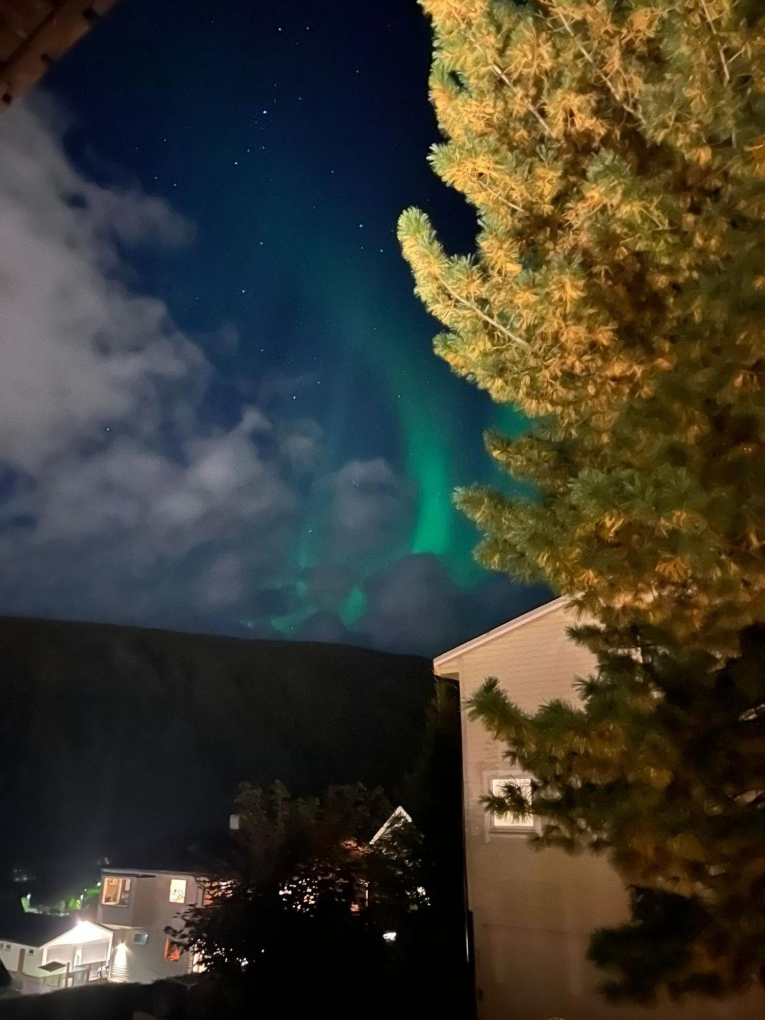 Tromso Arctic Villa With Free Parking المظهر الخارجي الصورة